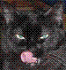 Benutzeravatar