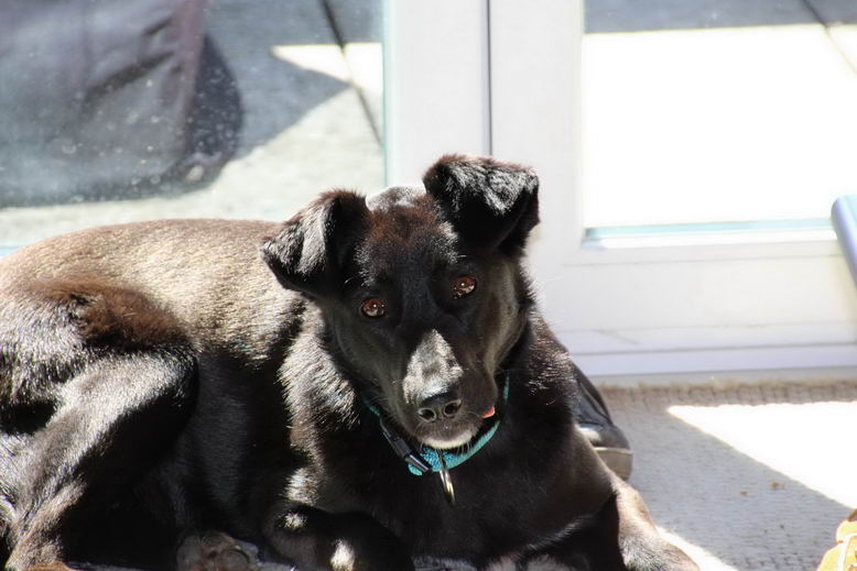 Mein Platz an der Sonne