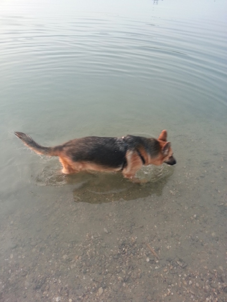 20130714_210724.jpg