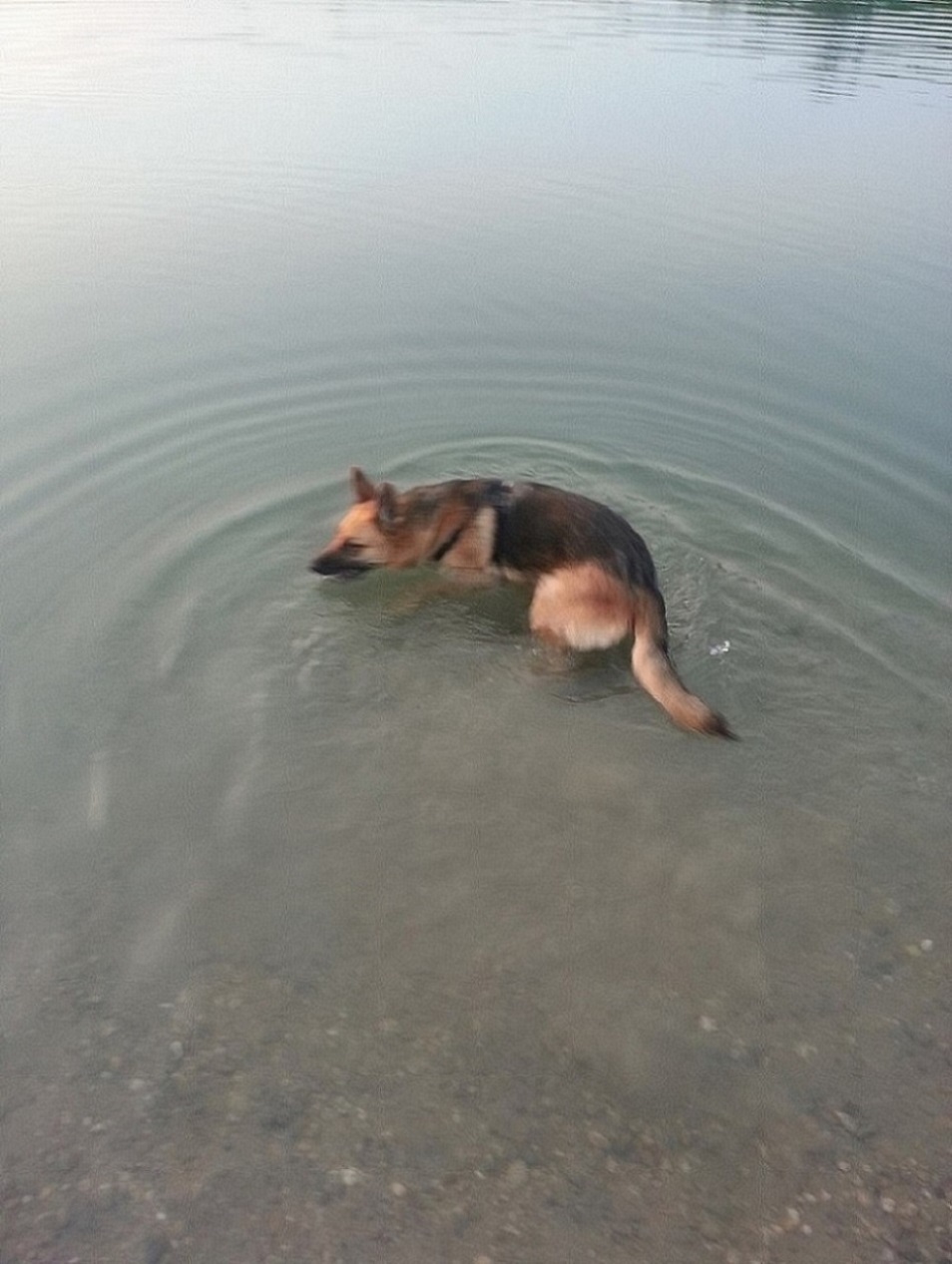 20130714_210758.jpg