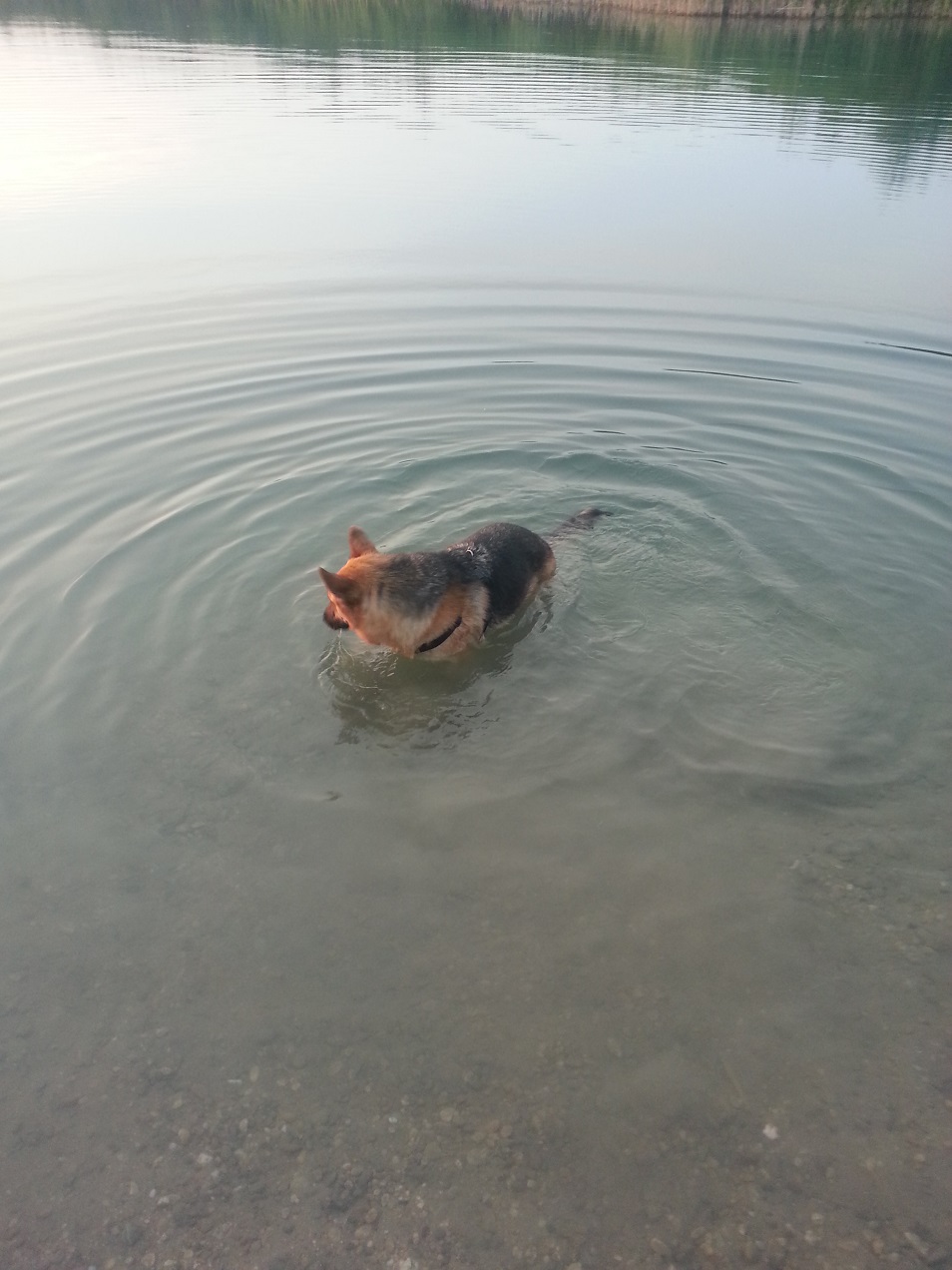 20130714_210805.jpg