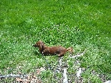 ov_ov_jessymartelltal2011030.jpg