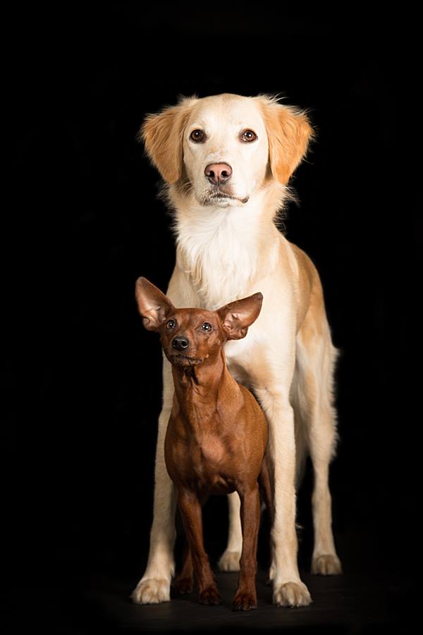 emmy und eAsy.jpg