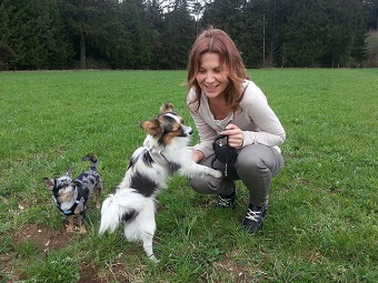 Beim Spaziergang im Wald