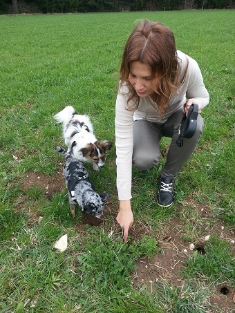 Beim Suchspiel...,Zazou liebt Mauselöcher im Wald. Samy war auch interessiert
