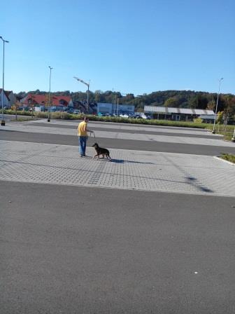 IMG_20141019_141125.jpg