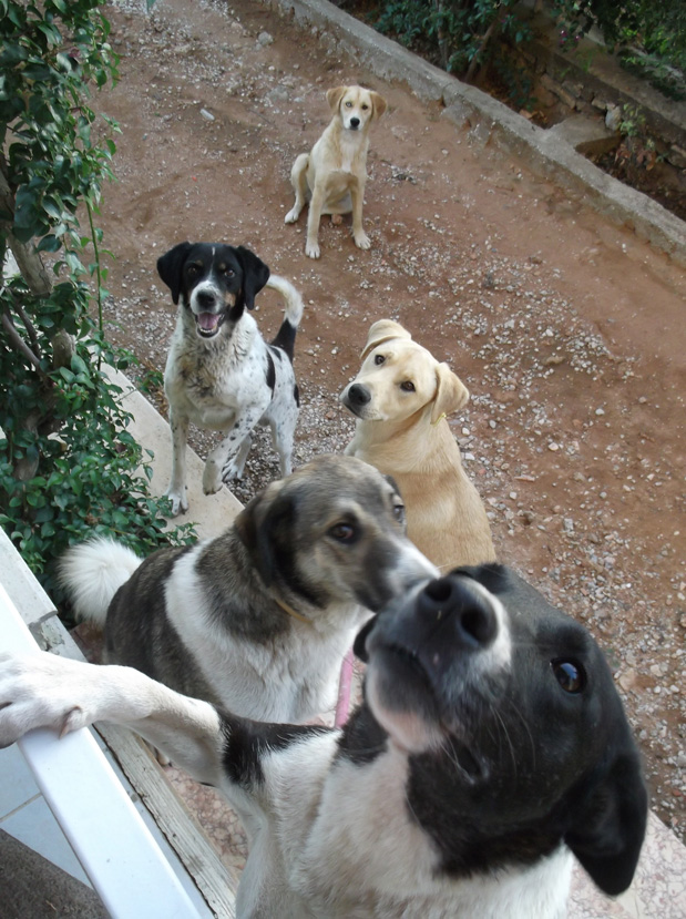 MİT FREUNDEN SAMİ UND MARY :)