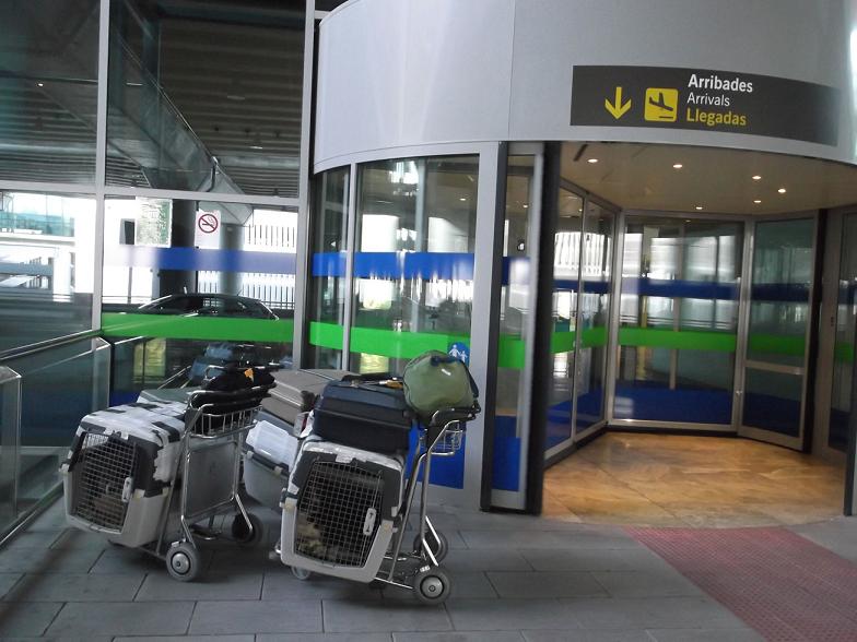 ALİCANTE AİRPORT